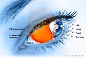 eye part of